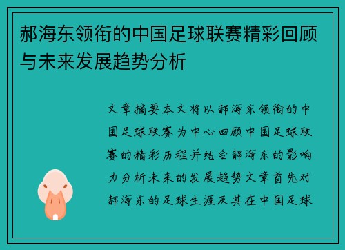 郝海东领衔的中国足球联赛精彩回顾与未来发展趋势分析